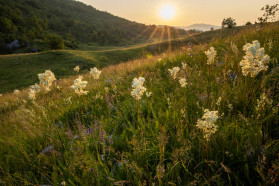 Open habitats in Komarnica: the land of endless sunsets